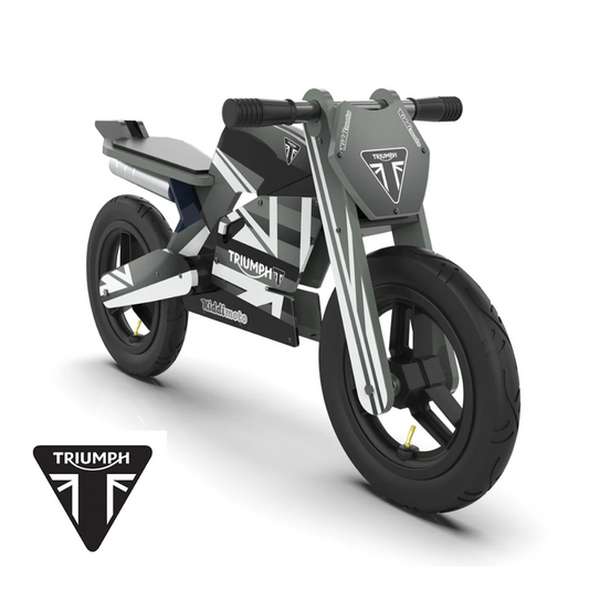 Triumph Daytona 765 Balance Bike
