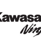 Kawasaki Ninja ZX6R Balance Bike